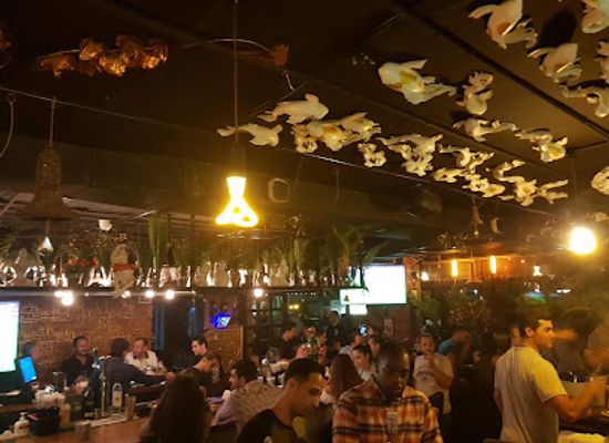 jordan/tafilah/bar/good-pub