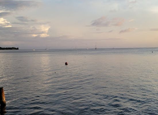 honduras/cayos-cochinos/bar/bailey-s-beach-and-bar-grill