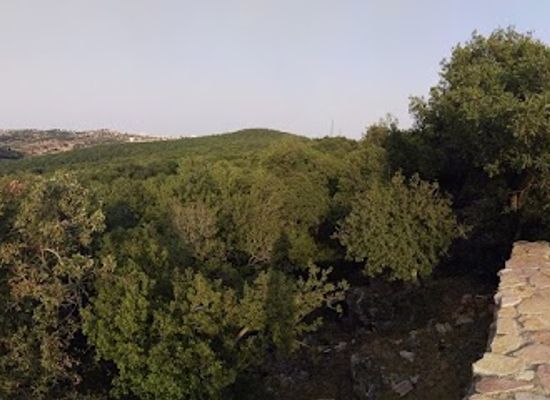 jordan/ajloun-forest-reserve/bar/ashtfina-resturant