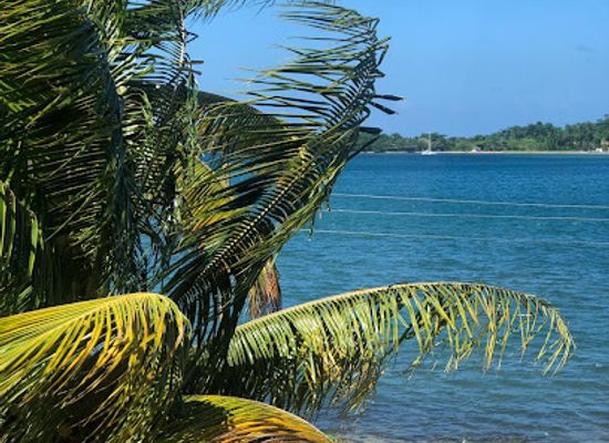 jamaica/port-antonio-area/bar/fusion-bites