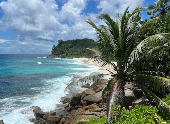 seychelles/ile-platte/bar/anse-takamaka-beach