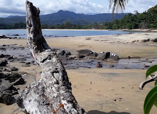sierra-leone/tokeh-beach/bar/tito-s-bar-and-restaurant