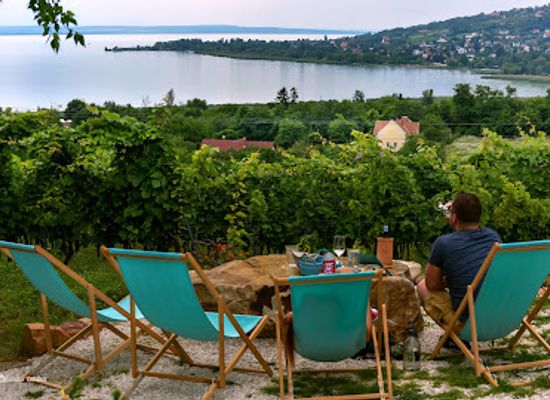 hungary/lake-balaton/bar/csendes-dulo-szolobirtok-borterasz