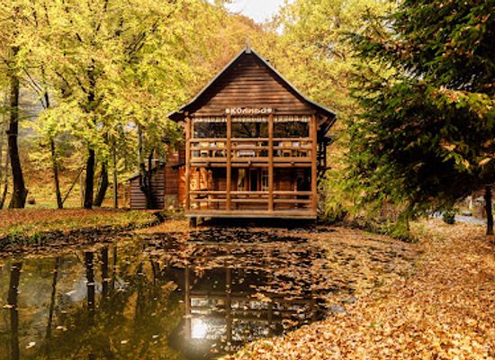 ukraine/transcarpathia/bar/voevodyno-resort