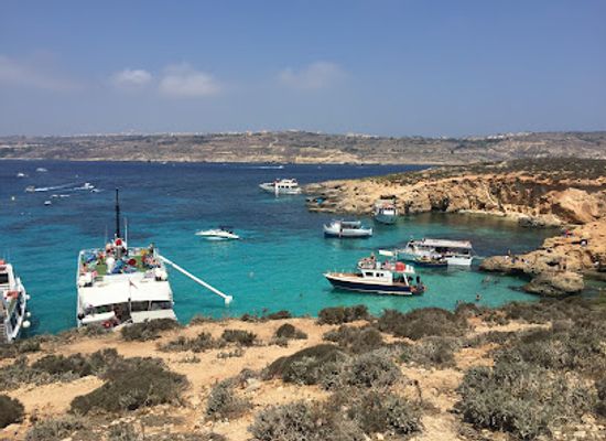 malta/gozo-and-comino/bar/the-fruit-bar