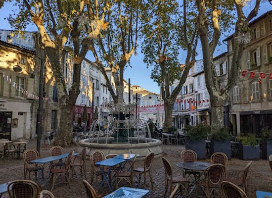 france/avignon/pont-saint-benezet/bar/les-celestins