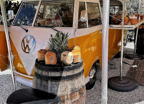 aruba/california-lighthouse/bar/catina