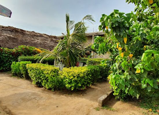 ghana/busua/bar/exodus-bar-grill