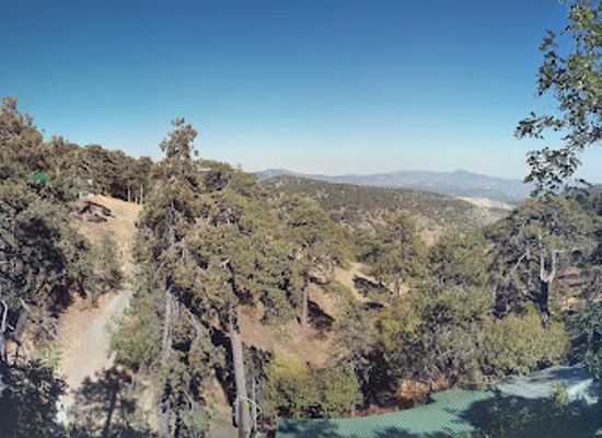cyprus/troodos-national-forest-park/bar/christy-s-ben-nevis