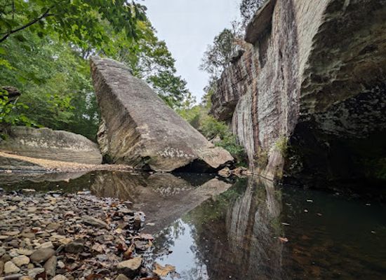 illinois/illinois-ozarks/bar/devil-s-backbone