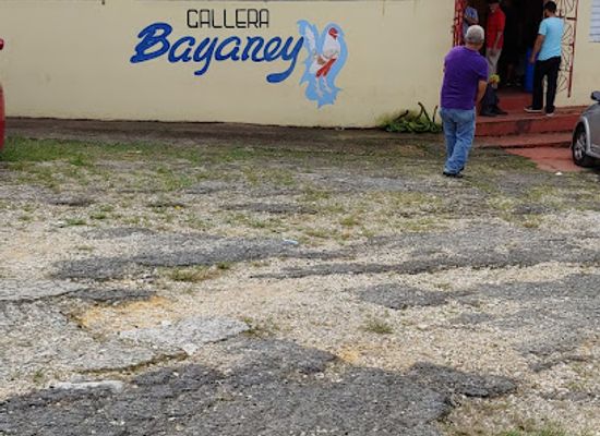puerto-rico/camuy-river-cave-park/bar/gallera-bayaney