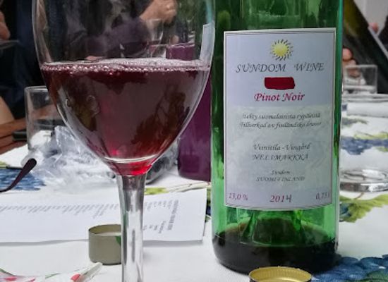finland/ostrobothnia/bar/sundom-wine