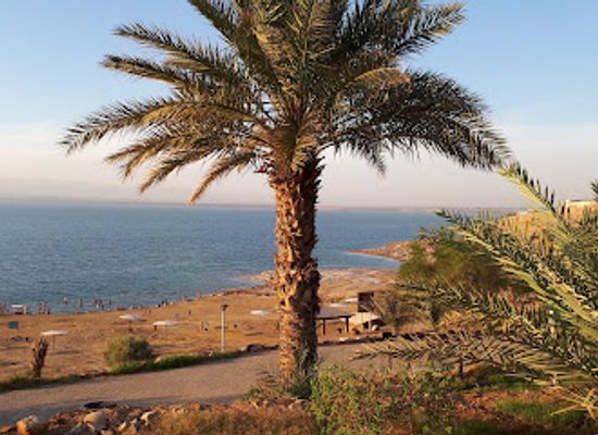 jordan/dead-sea-region/bar/amman-beach-dead-sea-jordan
