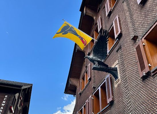 switzerland/andermatt/bar/restaurant-adler