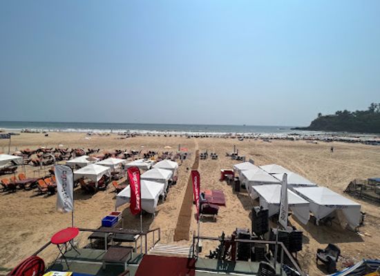 india/goa-beaches/bar/cohiba-bar-kitchen
