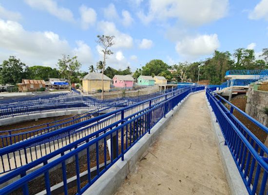 barbados/saint-thomas/bar/springboyzbar