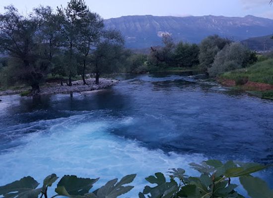 albania/gjirokaster-region/bar/bar-restaurant-viroi