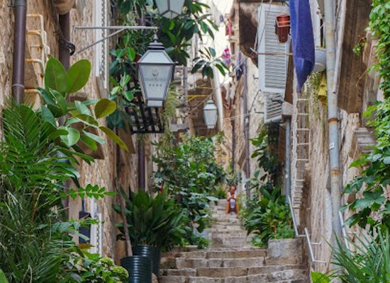 croatia/dubrovnik/ploce/bar/wine-bar-boutique-dingac
