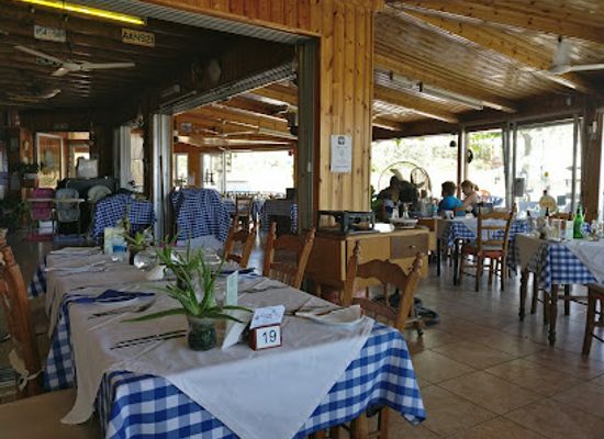 cyprus/coral-bay/bar/coral-oasis-tavern