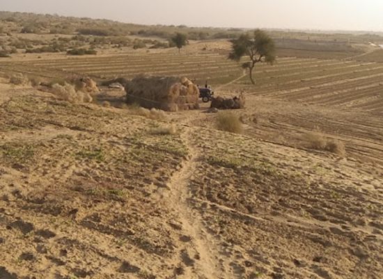 india/thar-desert/bar/