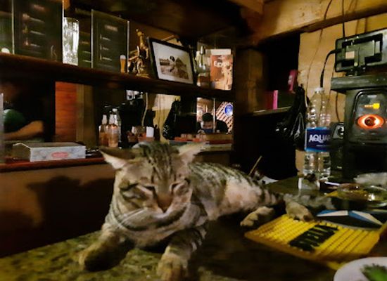 egypt/lower-egypt/bar/le-comte-downtown-bar