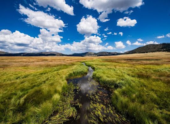 new-mexico/valles-caldera-national-preserve/bar/valles-caldera-visitor-center
