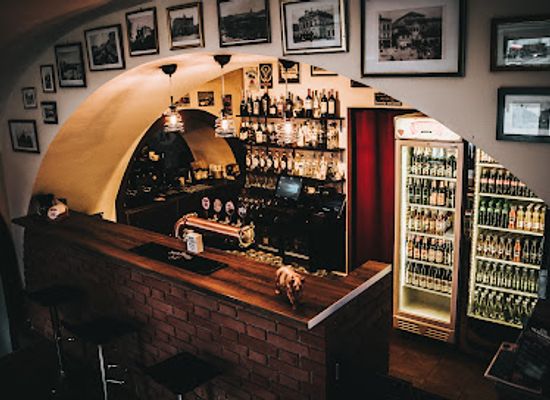 ukraine/sian-river/bar/pub-niedzwiadek-bear-cub