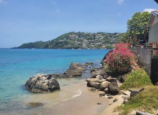 grenada/saint-mark/bar/tosh-bar