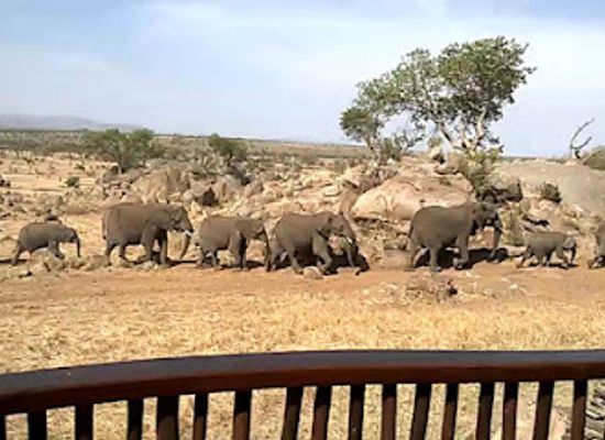 tanzania/serengeti-national-park/bar/boma
