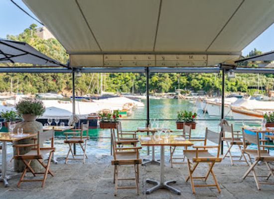 italy/portofino/bar/o-magazin-ristorante