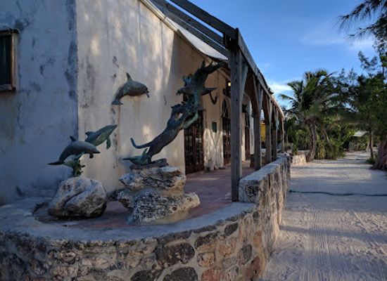 the-bahamas/ragged-island/bar/pete-s-pub-and-gallery