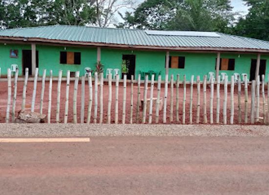 cameroon/dja-faunal-reserve/bar/la-providence