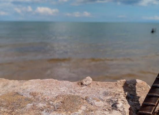 tanzania/kigoma/bar/beach