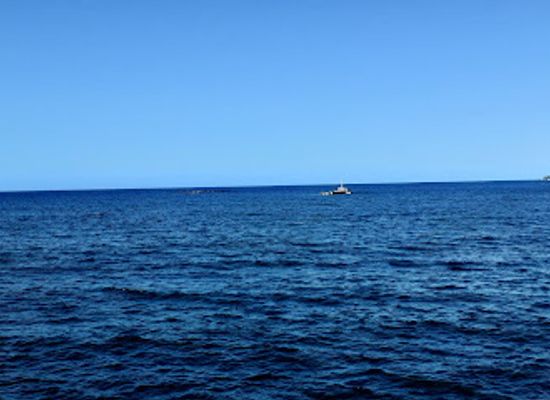 mayotte/koungou/bar/port-de-longoni