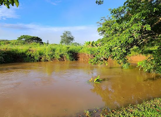 papua-new-guinea/fly-river-basin/bar/koitaki-country-club