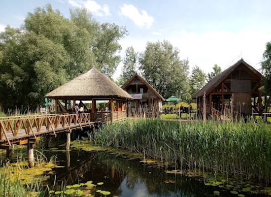 croatia/kopacki-rit-nature-park/bar/kopacki-rit-nature-park