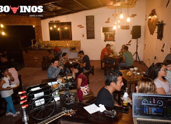 ecuador/pastaza-region/bar/bovinos-carnes-vinos