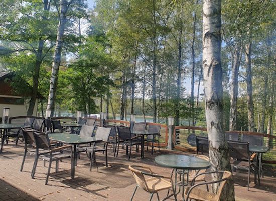 poland/bory-tucholskie/bar/bistro-pod-brzozami