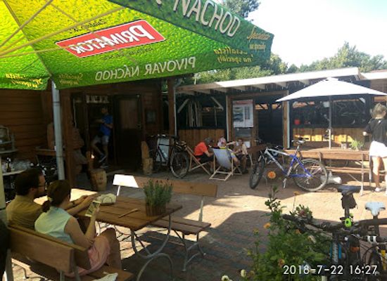 poland/kampinos-national-park/bar/fat-bike-truskaw