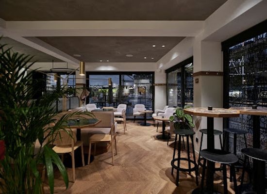 belgium/hoge-kempen-national-park/bar/roots