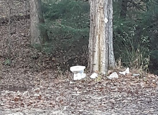 kentucky/sheltowee-trace-national-recreation-trail/bar/sheltowee-trace-trailhead-and-parking