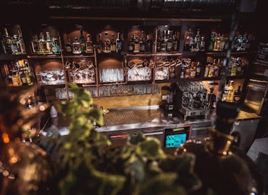austria/flachgau/bar/burdock-punch-cocktails
