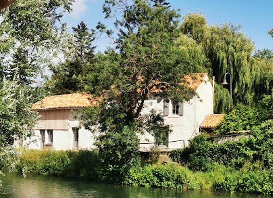 france/marais-poitevin/bar/terrasse-de-la-roseliere
