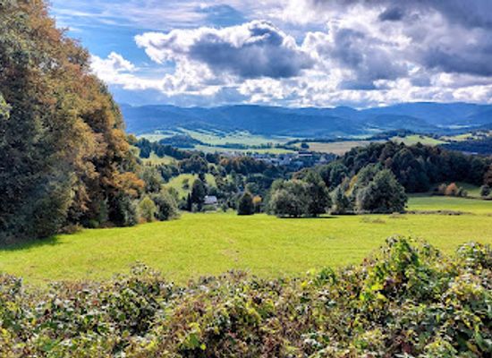 czechia/jeseniky-mountains/bar/vinckovo-kavarna-a-dortirna