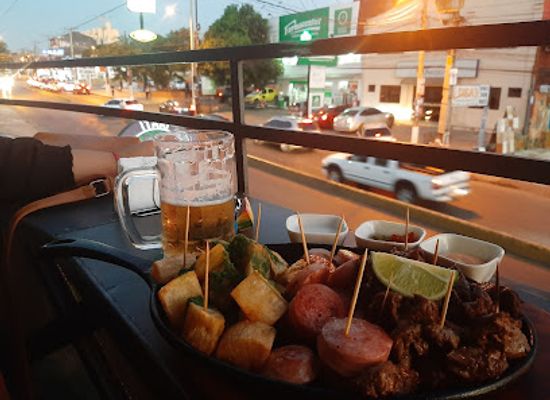paraguay/neembucu-marshes/bar/terrachopp