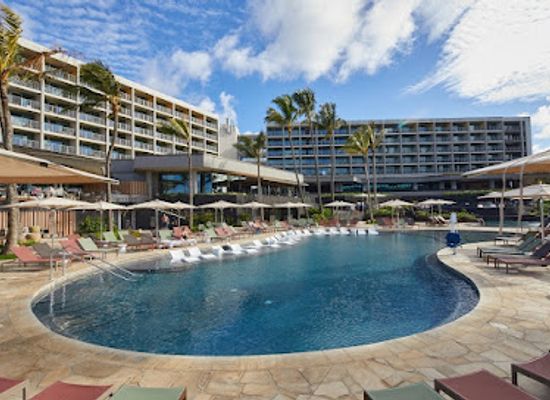 marshall-islands/wotho-atoll/bar/turtle-bay-resort
