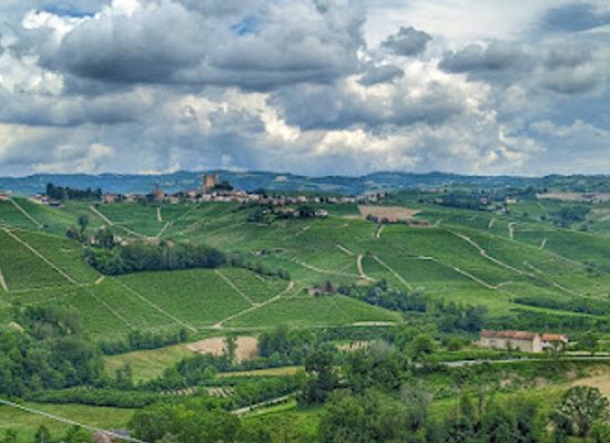 italy/langhe/bar/bar-la-terrazza-da-renza