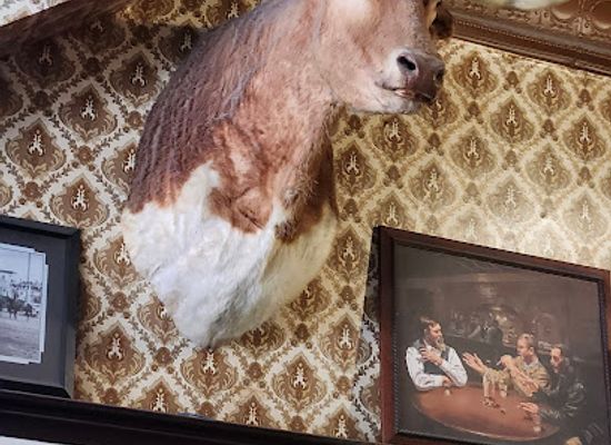north-dakota/little-missouri-national-grassland/bar/long-x-saloon