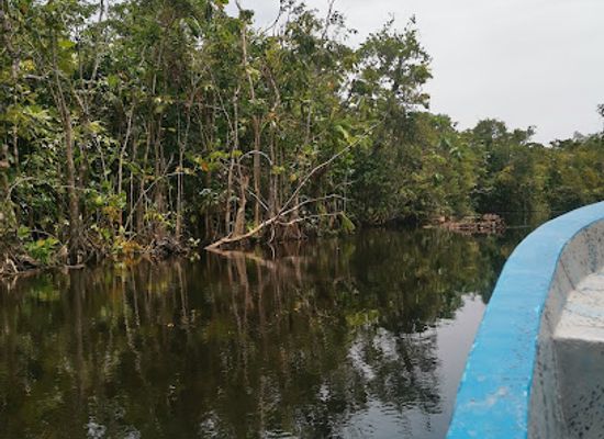 honduras/rio-platano-biosphere-reserve/bar/rio-platano