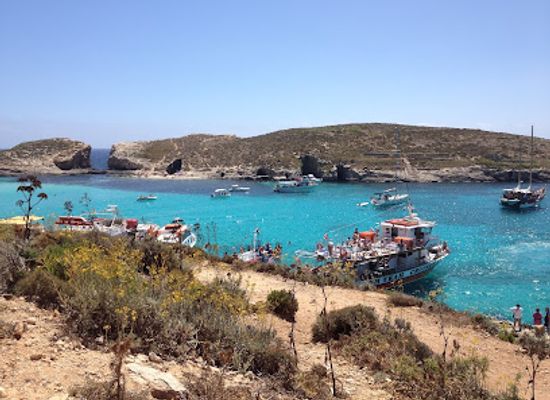 malta/blue-lagoon/bar/the-fruit-bar